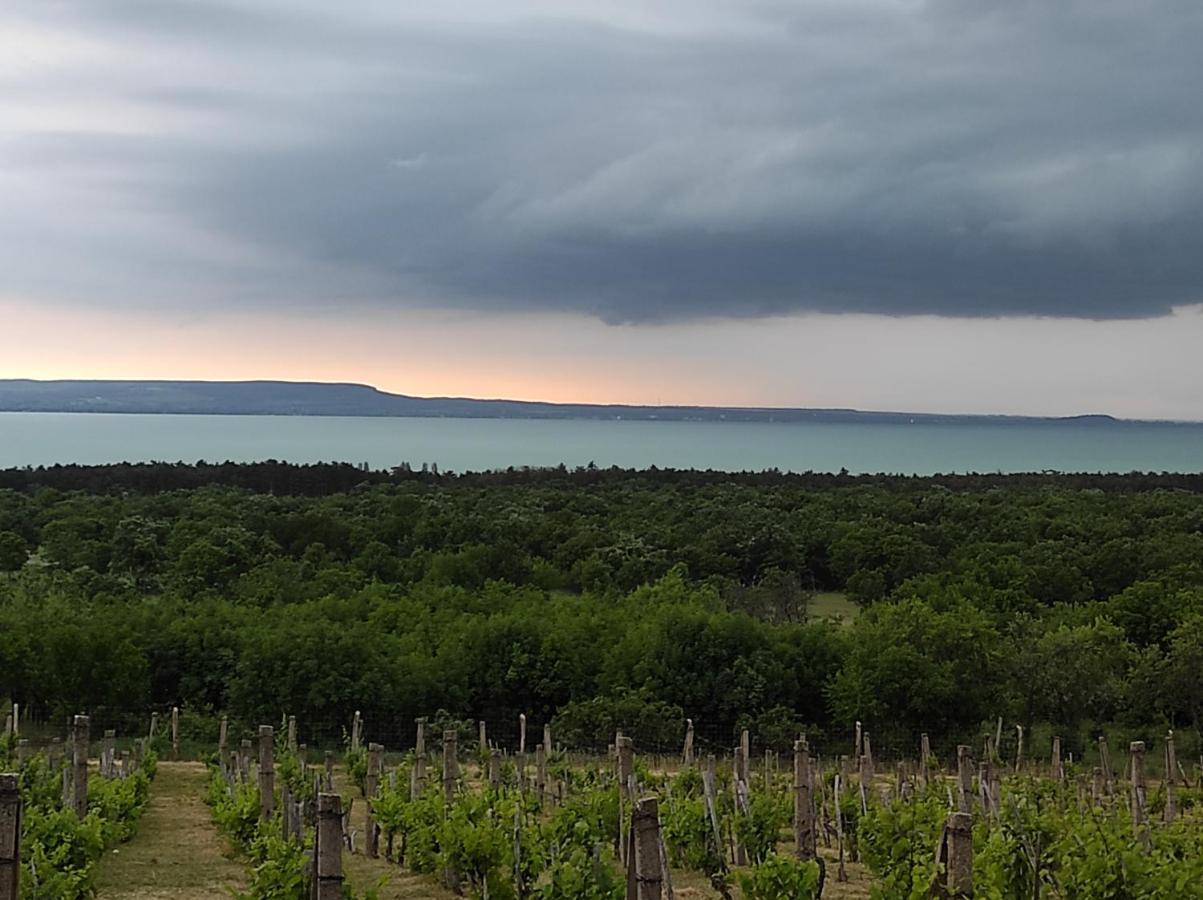 Napraszallas Vendeghaz Balatonakali Eksteriør bilde