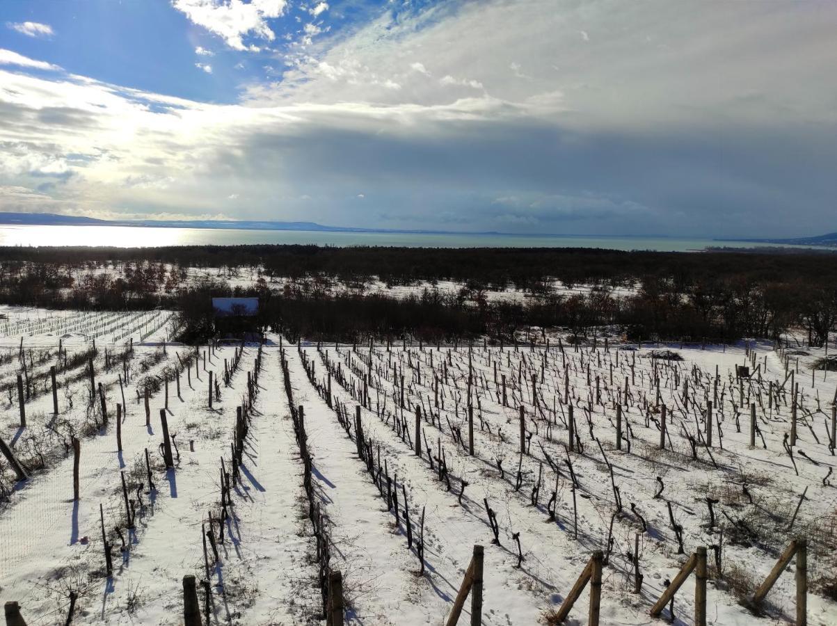 Napraszallas Vendeghaz Balatonakali Eksteriør bilde